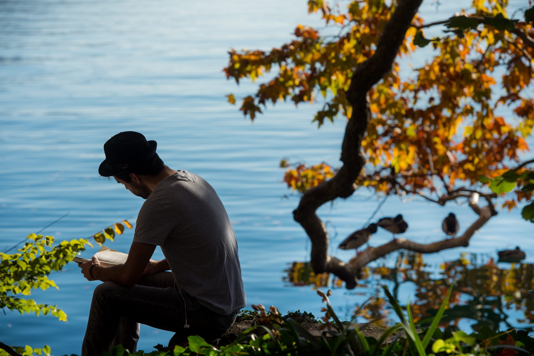 Ein Mann liest in einem Buch im herbstlich eingefaerbten Parco Ciani am Ufer des Lago di Lugano in Lugano TI, aufgenommen am Donnerstag, 5. November 2015. (KEYSTONE/Ti-Press /Gabriele Putzu) SCHWEIZ WETTER HERBST TESSIN