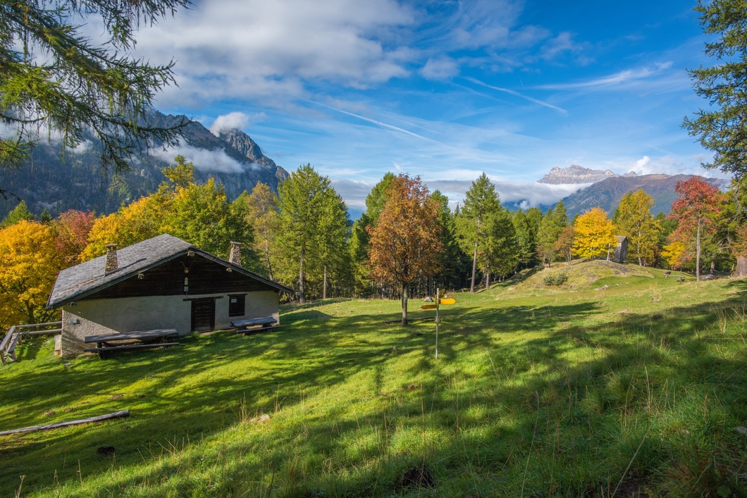 L'alpage de Charavex est implanté au coeur de la réserve forestière de l'Arpille-Vallée du Trient, la deuxième plus grande de Suisse.