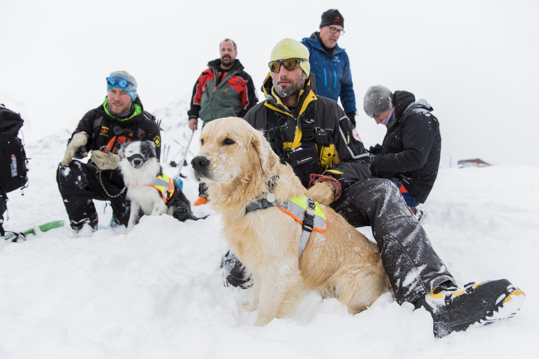Tous les conducteurs de chien d'avalanches sont bénévoles.