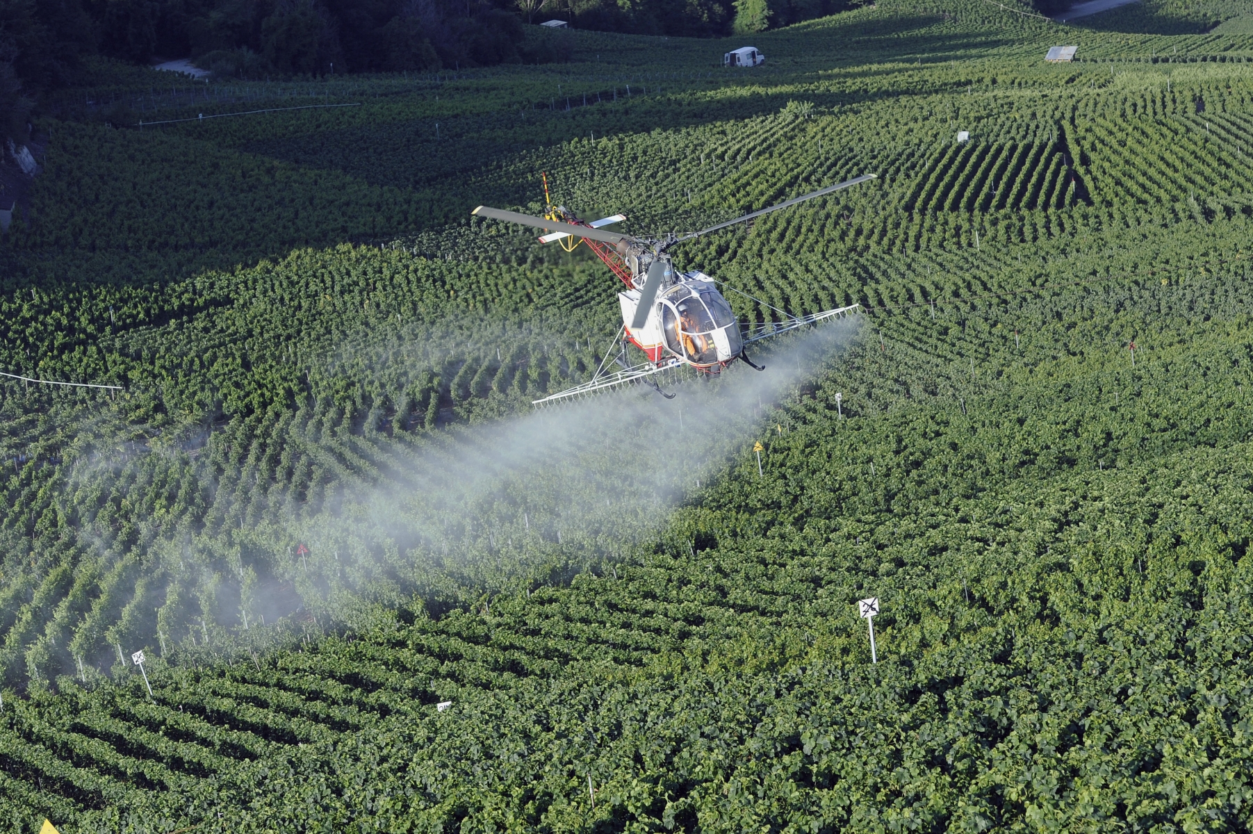 Le sulfatage par hélicoptère peut se faire avec des produits naturels.