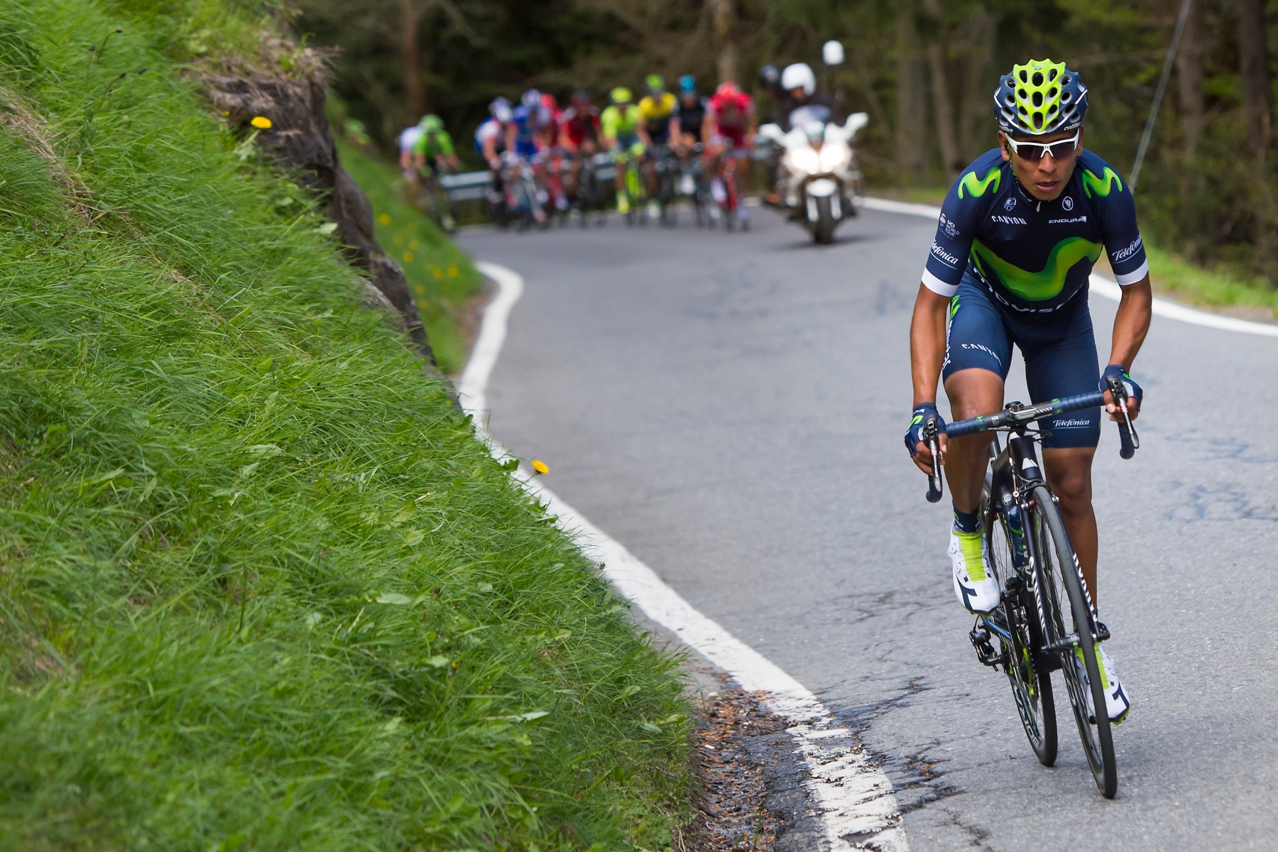 The winner and the new overall leader Nairo Quintana from Colombia of team Movistar, rides during the second stage, a 173.9 km race between Moudon and Morgins during the 70th Tour de Romandie UCI ProTour cycling race near Morgins, Switzerland, Thursday, April 28, 2016. (KEYSTONE/Jean-Christophe Bott) SWITZERLAND CYCLING TOUR DE ROMANDIE 2016