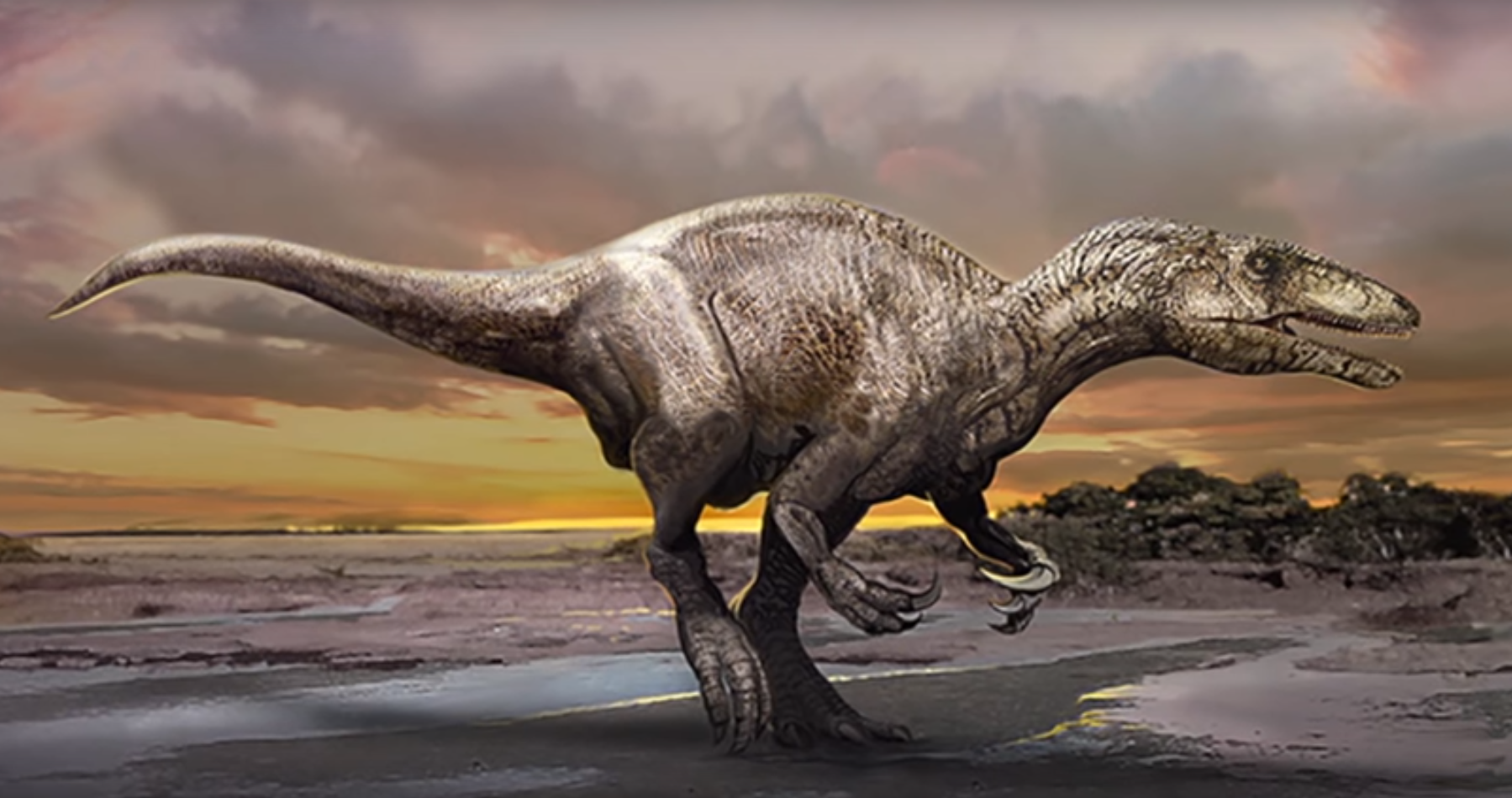 Ces dinosaures de taille moyenne se caractérisent par de grandes griffes et des os creux comme ceux des oiseaux.