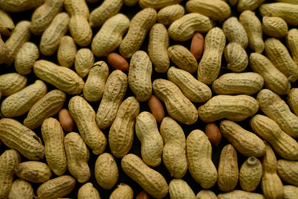 Les noix et les cacahuètes sont parmi les rares aliments pouvant déclencher des réactions allergiques graves et parfois fatales. 
