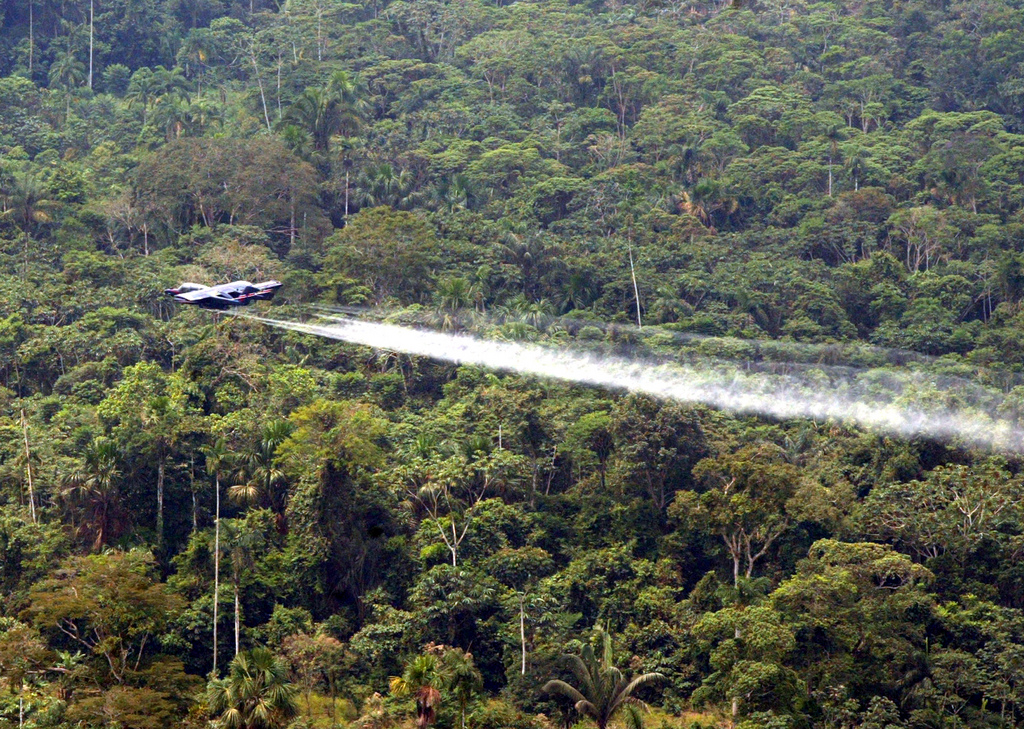 La suspension des fumigations aériennes par les autorités colombiennes est une des raisons de cette augmentation.