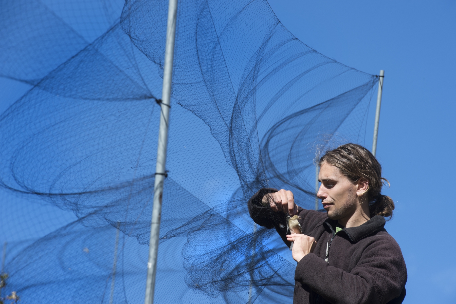 Col du Bretolet (Champéry) - 10 octobre  2016 - Observatoire ornithologique de Bretolet- Etude de la migration des oiseaux - Fabian Schneider, ornithologue responsable de l'observatoire . Photo: Sabine Papilloud BRETOLET21