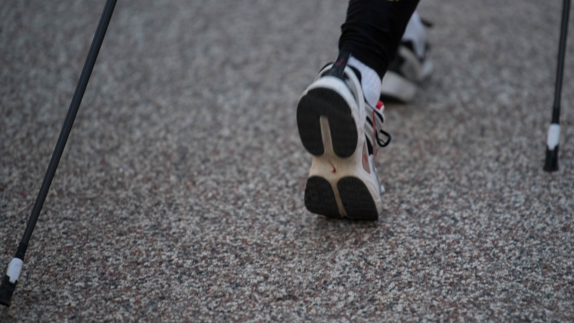 Le nordic walking fait partie de la large palette d'activités sportives proposées par Pro Senectute Valais.