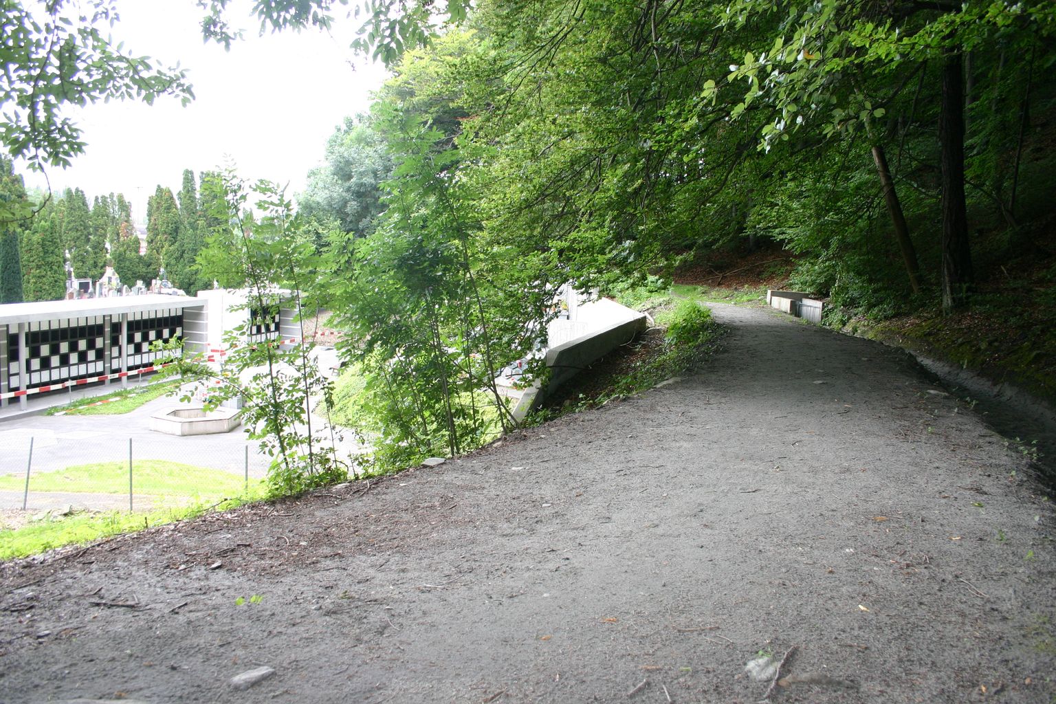 C'est sur ce sentier forestier tracé derrière le cimetière de Martigny que la retraitée octodurienne avait été agressée le 23 juillet 2014.