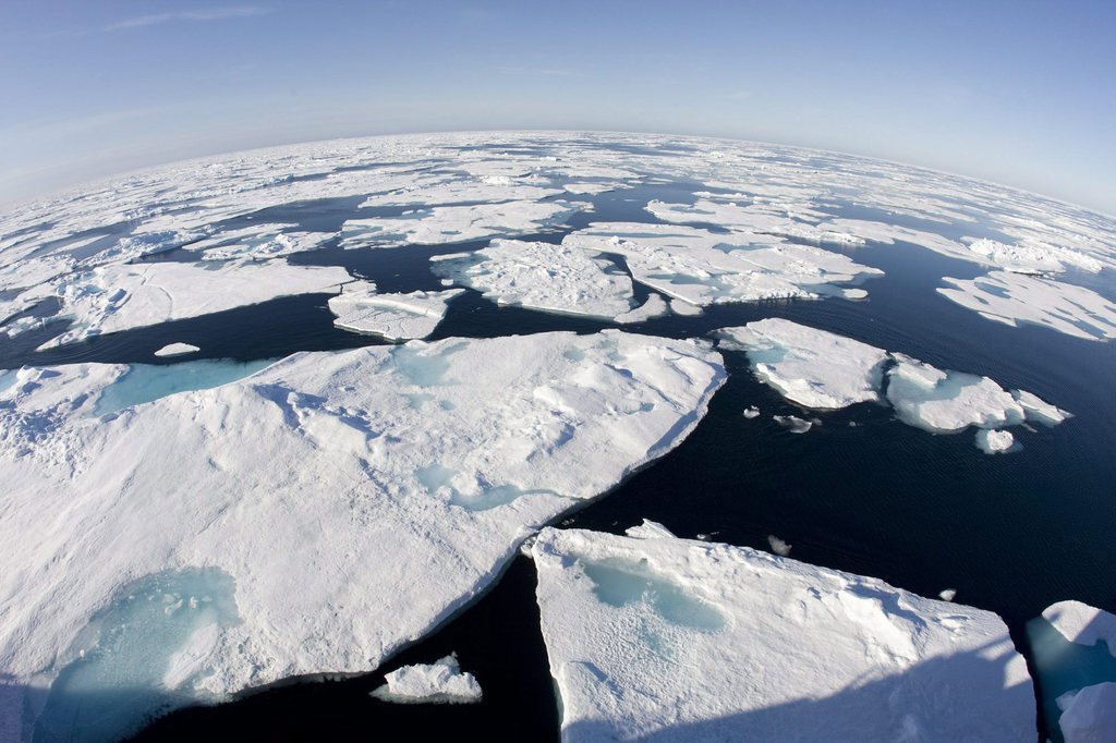 Les scientifiques peinent toujours à bien comprendre la vie des océans.