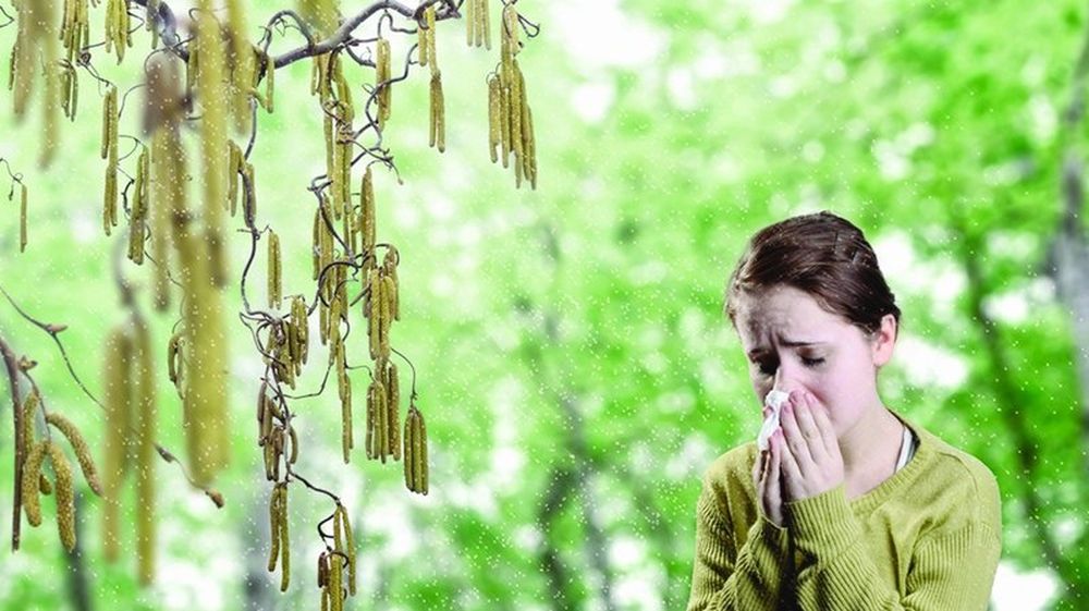 La douceur du mois de mars explique cette floraison précoce.