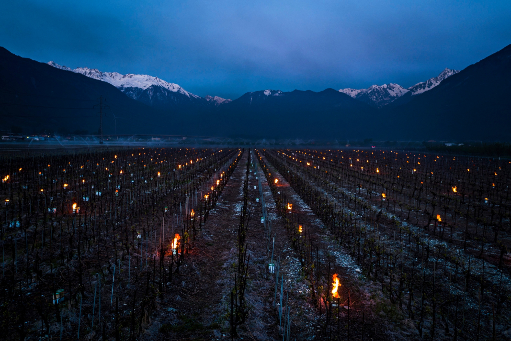 Anti-frost candles burn in a vineyard, in the middle of the Swiss Alps mountains, in Saxon, Canton of Valais, Switzerland, Thursday, April 20, 2017. Due to unusually low temperatures wine growers try to protect their grape shoots with anti-frost candles. (KEYSTONE/Valentin Flauraud)

Des bougies brulent afin de rechauffer l'air ambiant pour proteger la vigne ce jeudi 20 avril 2017 a Saxon dans le canton du Valais. (KEYSTONE/Valentin Flauraud) SUISSE VALAIS COMBAT CONTRE GEL
