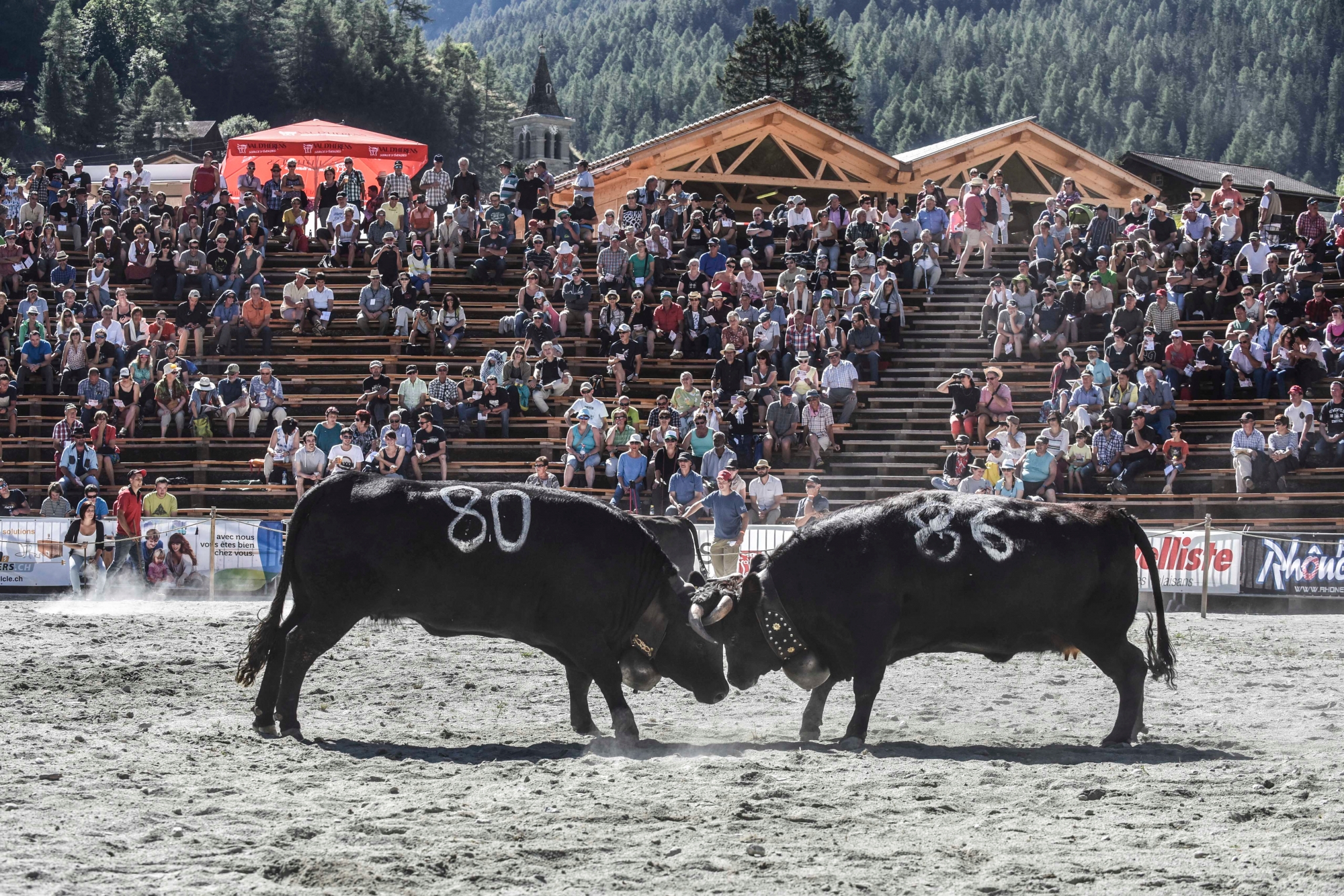 Week-end d'inauguration de l'Hérens Arena aux Haudères.

Concert le samedi soir et match de reines et partie officielle le dimanche.

Ici combat de reines



Louis Dasselborne/Le Nouvelliste