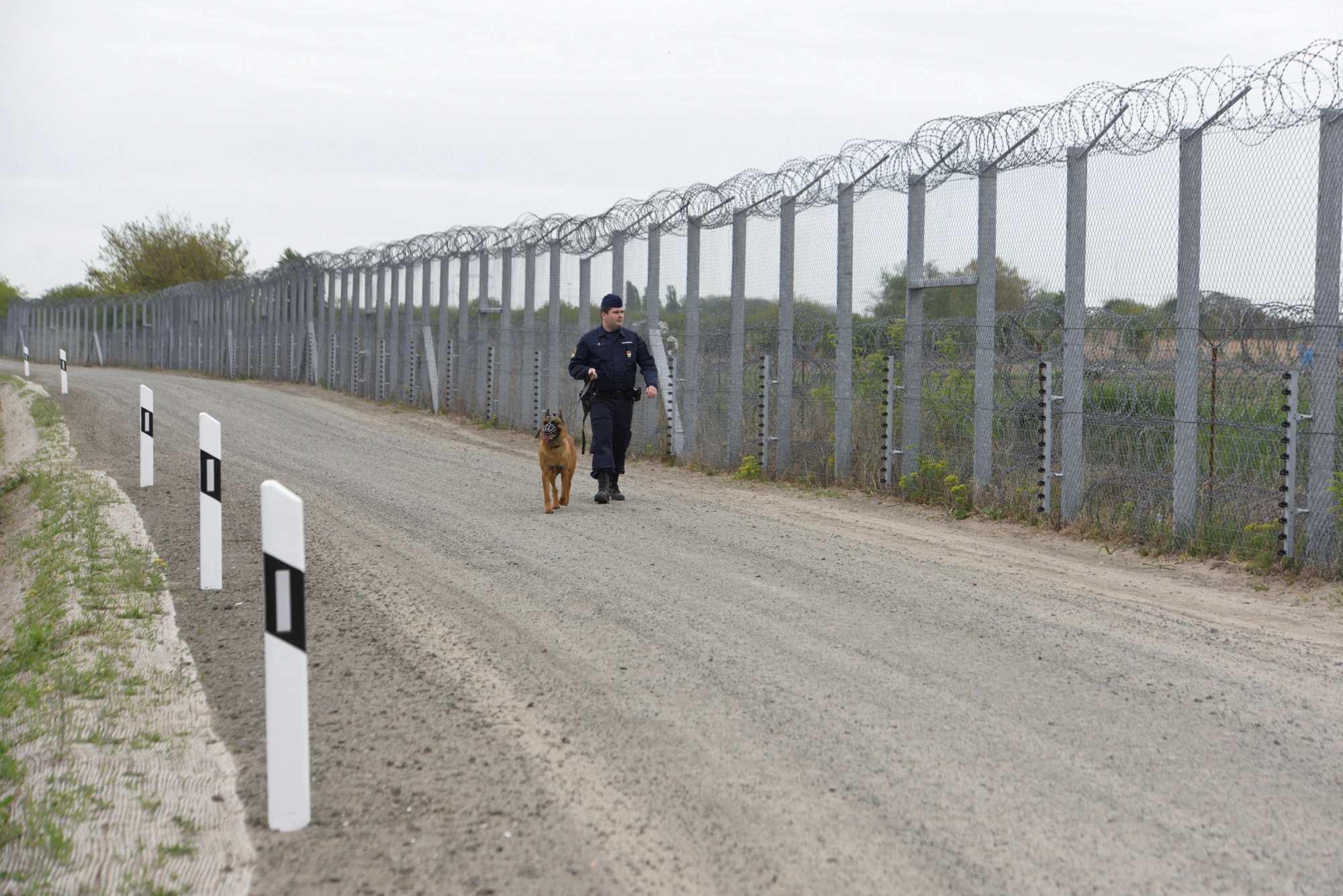 epa05932814 A police officer with a dog patrols along the temporary border fence along the Hungarian-Serbian border near Roszke, 180 kilometers southeast of Budapest, Hungary, 28 April 2017. The construction of the second line of fences aimed at preventing migrants' illegal entry into Hungary has just been completed along the 155 kilometers long border between Hungary and Serbia.  EPA/ZOLTAN GERGELY KELEMAN HUNGARY OUT HUNGARY MIGRATION BORDER FENCE