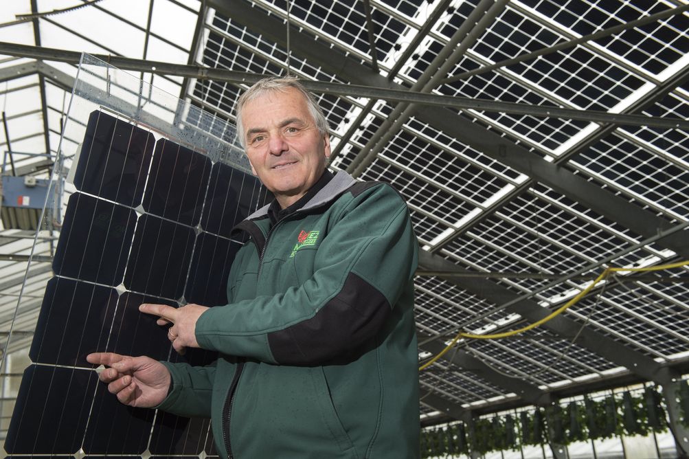 L'horticulteur Freddy Mottiez présente un panneau solaire bifacial installé sur le toit de son exploitation (à l'arrière plan).