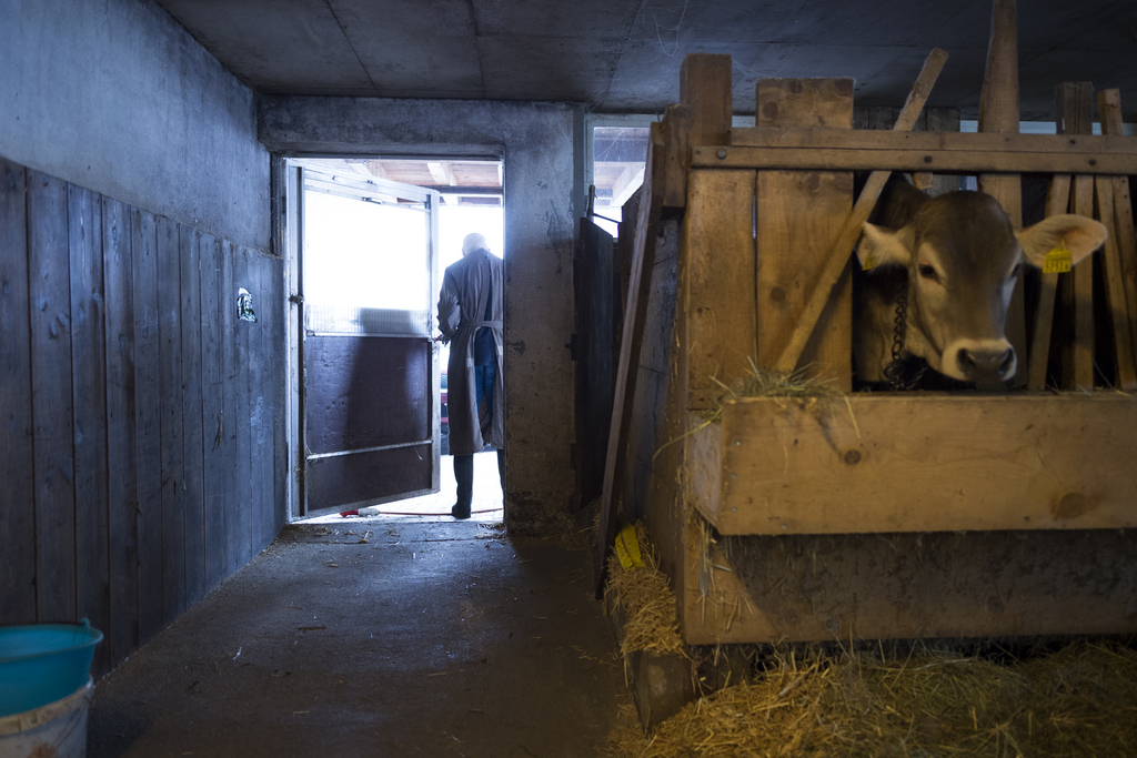 La ventilation dans les étables cause 80 à 85% des pertes de chaleur d'étables isolées. Il serait théoriquement possible d'économiser jusqu'à 60% du chauffage en récupérant la chaleur de l'air évacué.