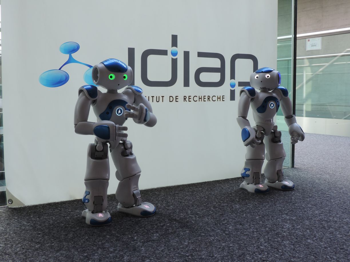 A Martigny, l'IDIAP et ses robots sont prêts à surfer sur la vague du succès grâce notamment au soutien financier de la Confédération.