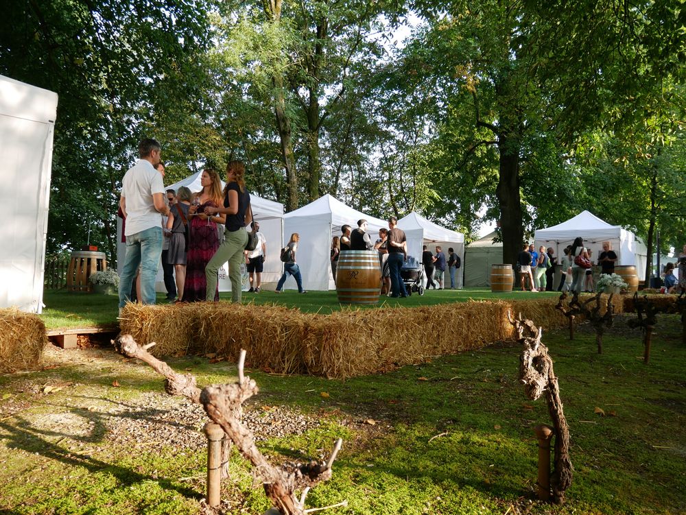 Atmosphère garden party, cadre naturel exclusif, espace familial et décontracté et le soleil en bonus pour le premier Jardin des Vins de Sion à Berne.