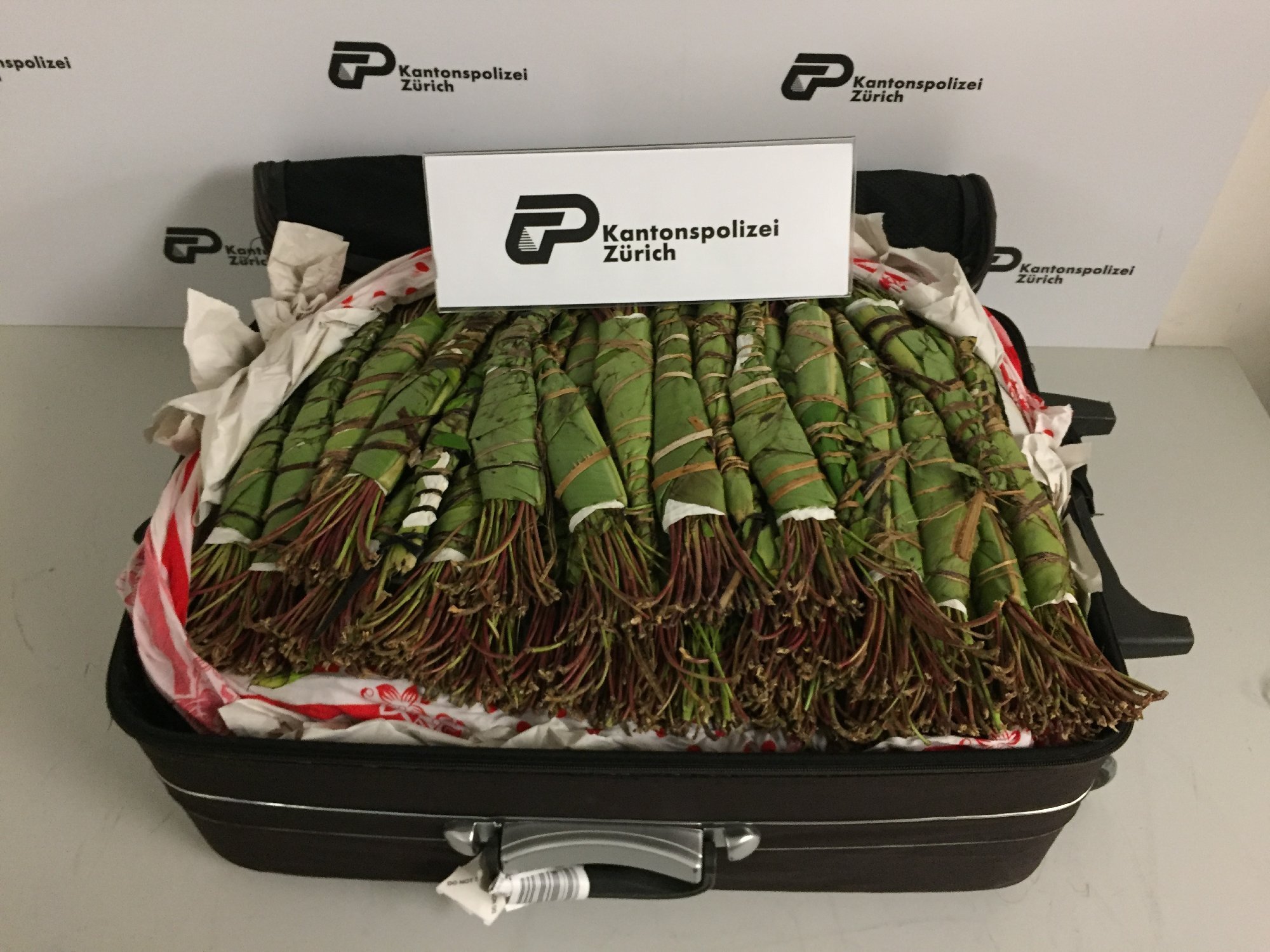Le 9 octobre dernier, la police zurichoise et les douaniers ont trouvé environ 50 kilos de khat dissimulés dans les bagages d'un Britannique.