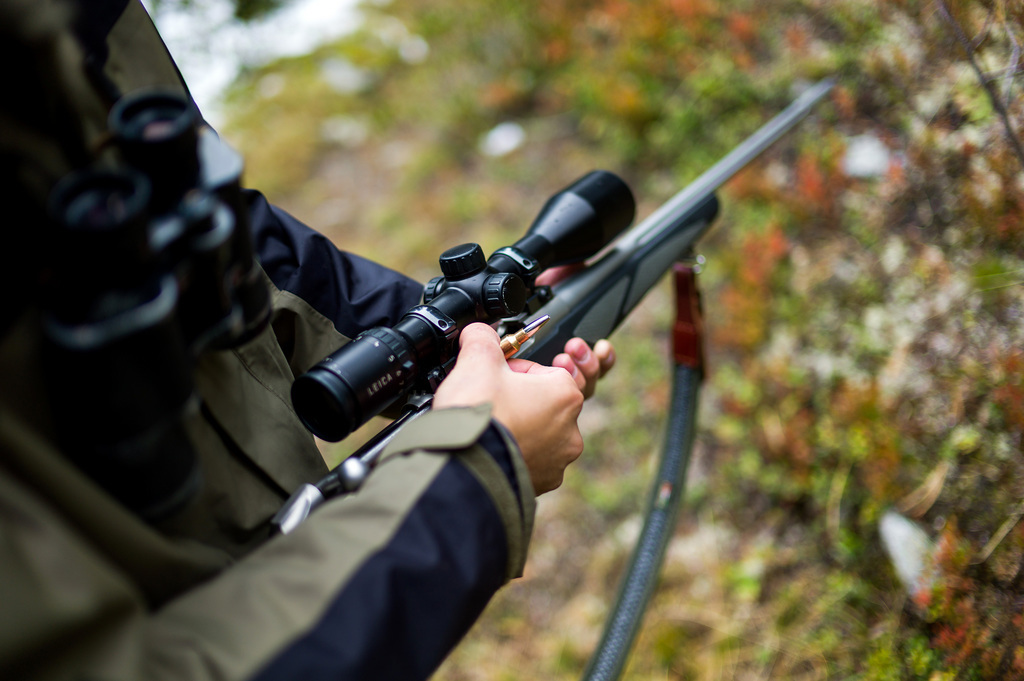 L'obtention du permis de chasse sera subordonné à la réussite d'un examen de tir périodique. (illustration)