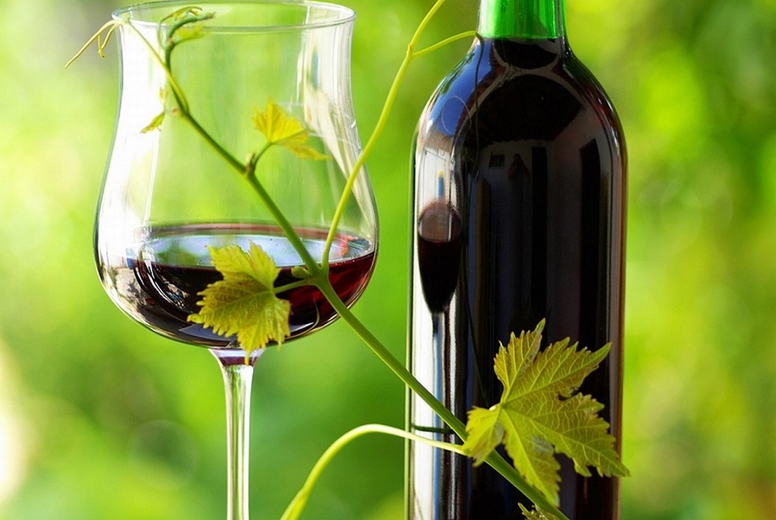 Le vin bio a attiré plus de 1000 passionnés deux jours durant à Montreux.