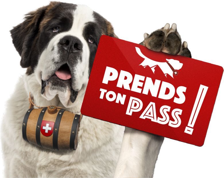 Plus de 10 000 PASS ont été vendus lors des préventes.