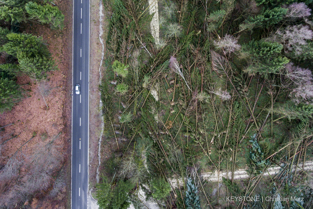 Les dégâts aux forêts ont été particulièrement importants en Suisse alémanique, comme ici, à Kestenholz, dans le canton de Soleure.