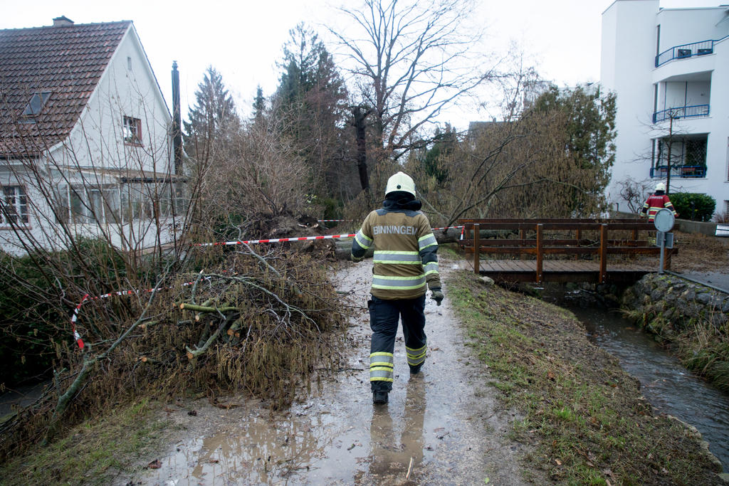 Les dégâts matériels liés au passage de la tempête Burglind/Eleanor début janvier coûteront 740 millions de francs au secteur immobilier dans les pays traversés, dont la Suisse. 