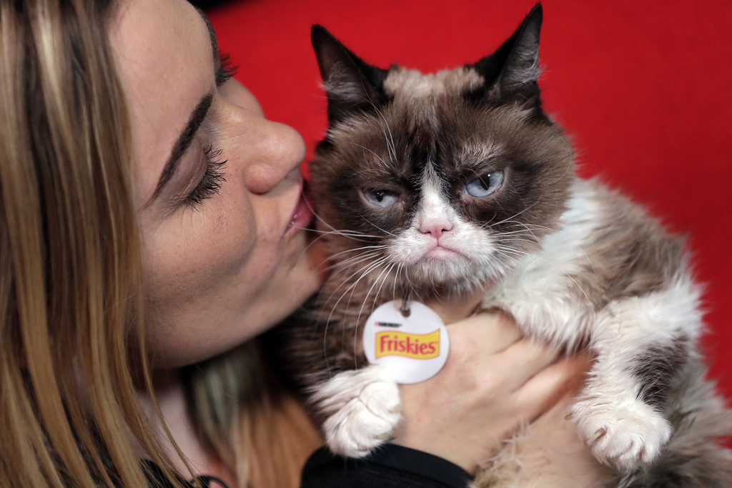 Grumpy Cat s'est fâché tout rouge lorsqu'une entreprise de café a placardé son minois sur des produits non autorisés.