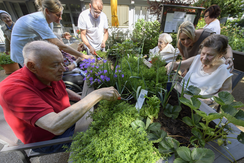 Parmi les projets concrétisés par Uniterre, ce jardin thérapeutique dans le home Eynard-Fatio à Chêne-Bougeries (GE), réalisé en collaboration avec l'EMS.