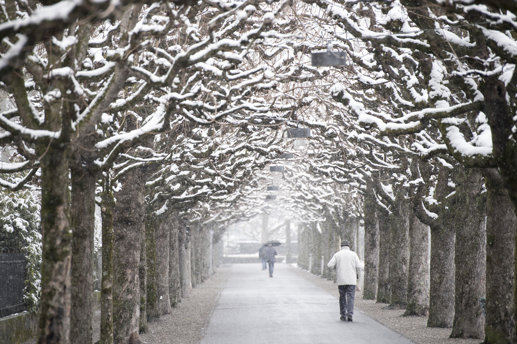 Le temps à Lucerne la veille du printemps... Les Suisses ont l'impression de ne pas quitter l'hiver.