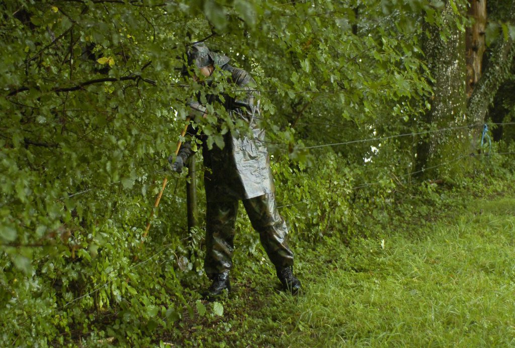 La découverte du corps sans vie d'une jeune femme à la fin janvier dans une forêt près de Zezikon (TG) a abouti entretemps à l'arrestation de trois hommes.