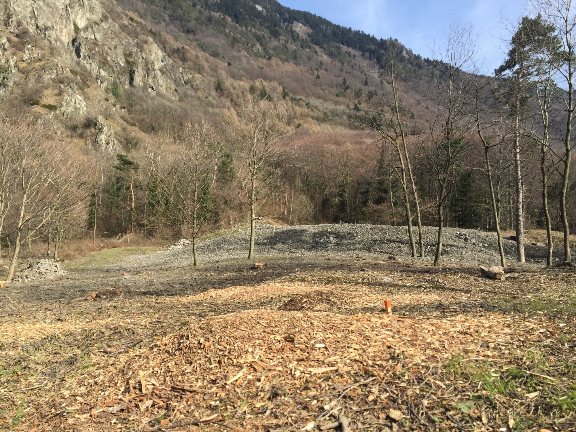 C'est sur une parcelle bourgeoisiale à l'est de Collonges que sera plantée la châtaigneraie.