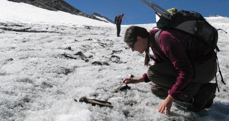Souvenir du Col du Théodule, l’archéozoologue Sophie Providoli analyse une carcasse de mulet. 