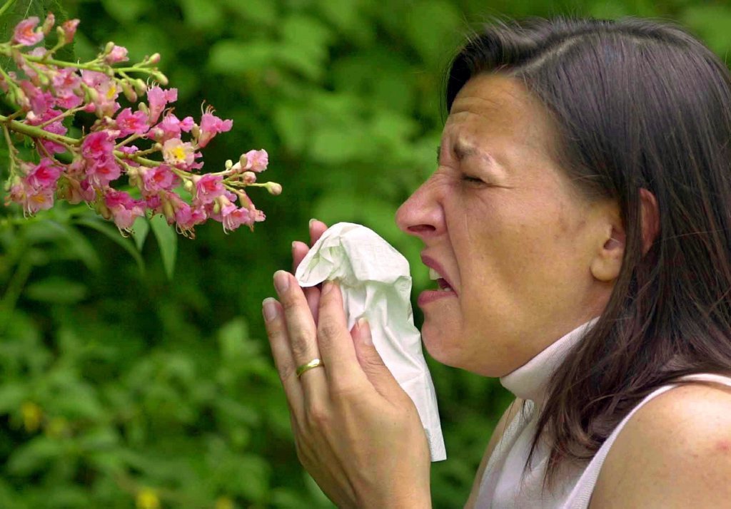 Les personnes souffrant d'allergies pourront se renseigner en temps réel. Les premiers essais sont très prometteurs (illustration).