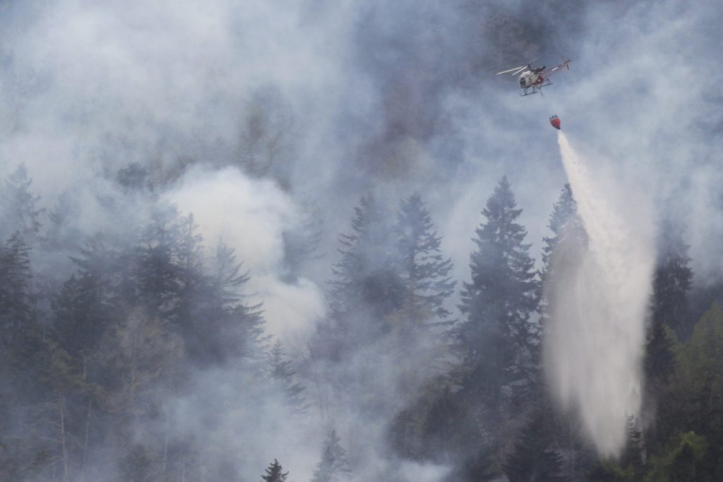 Le danger d'incendie de forêt est actuellement faible à limité en Valais.