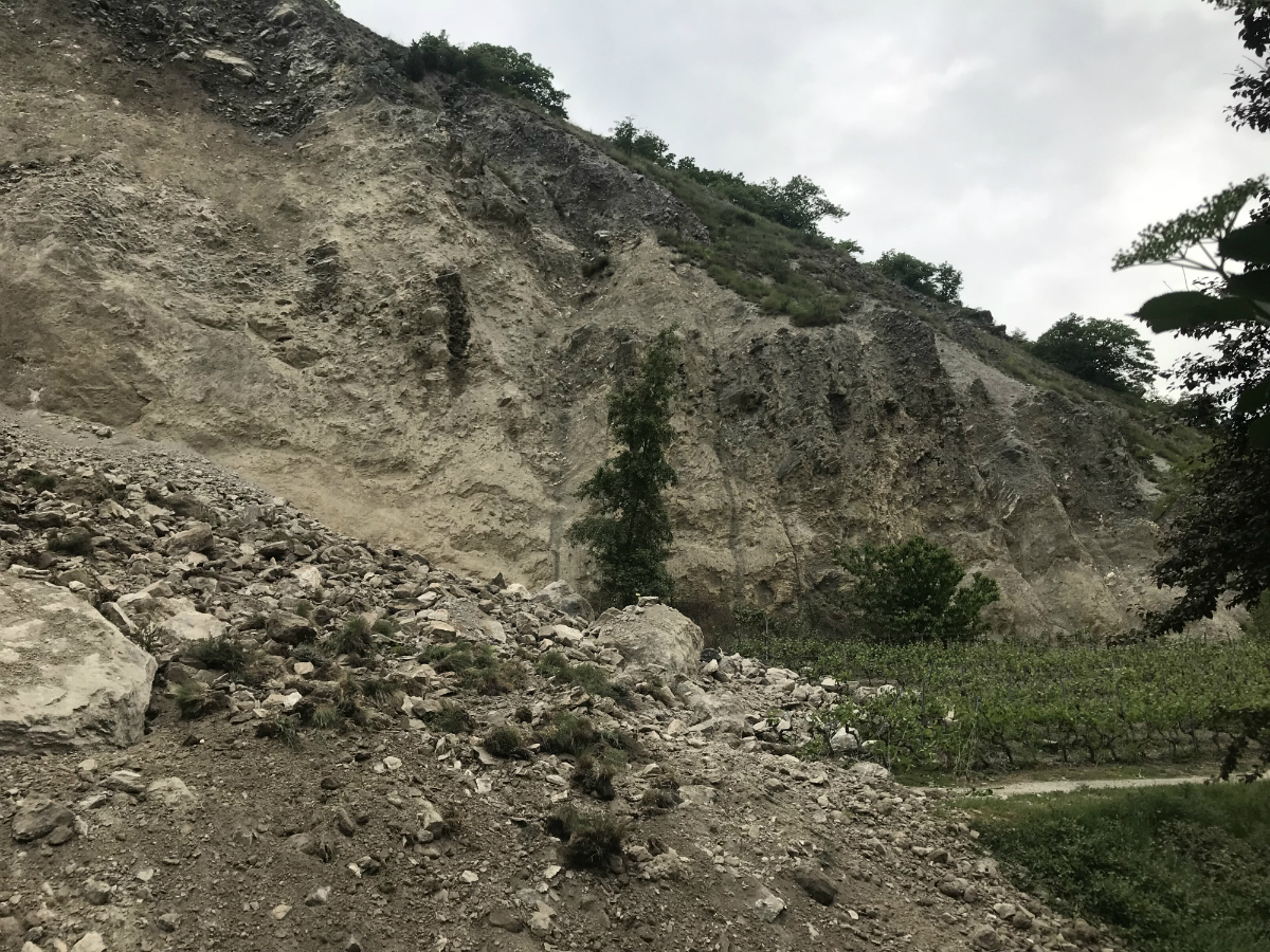 Entre 6000m3 et 11000m3 de terre et de roche se sont effondrés de la colline des Plantzettes à Sierre. Un chemin et une vigne en ont fait les frais.