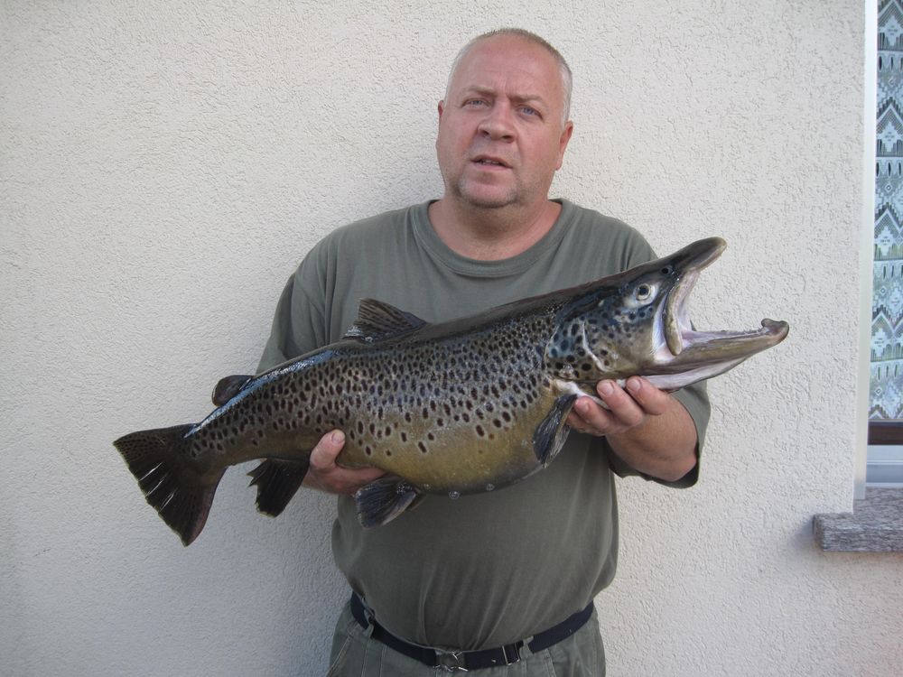 Pascal Chatillon n'avait jamais sorti pareille truite fario du lac de Taney. 6,35 kg sur la balance, pour 80 cm.