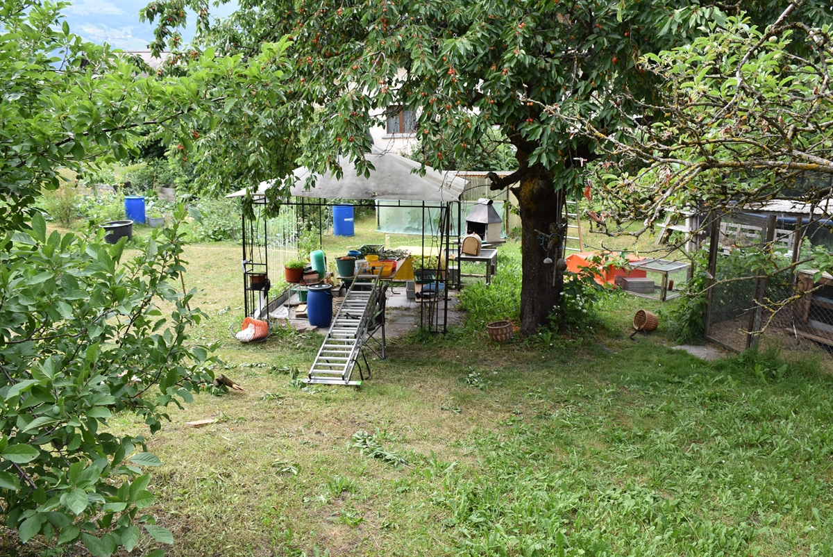 Le sexagénaire était occupé à cueillir des cerises lorsqu'il est tombé d'une hauteur de trois mètres.