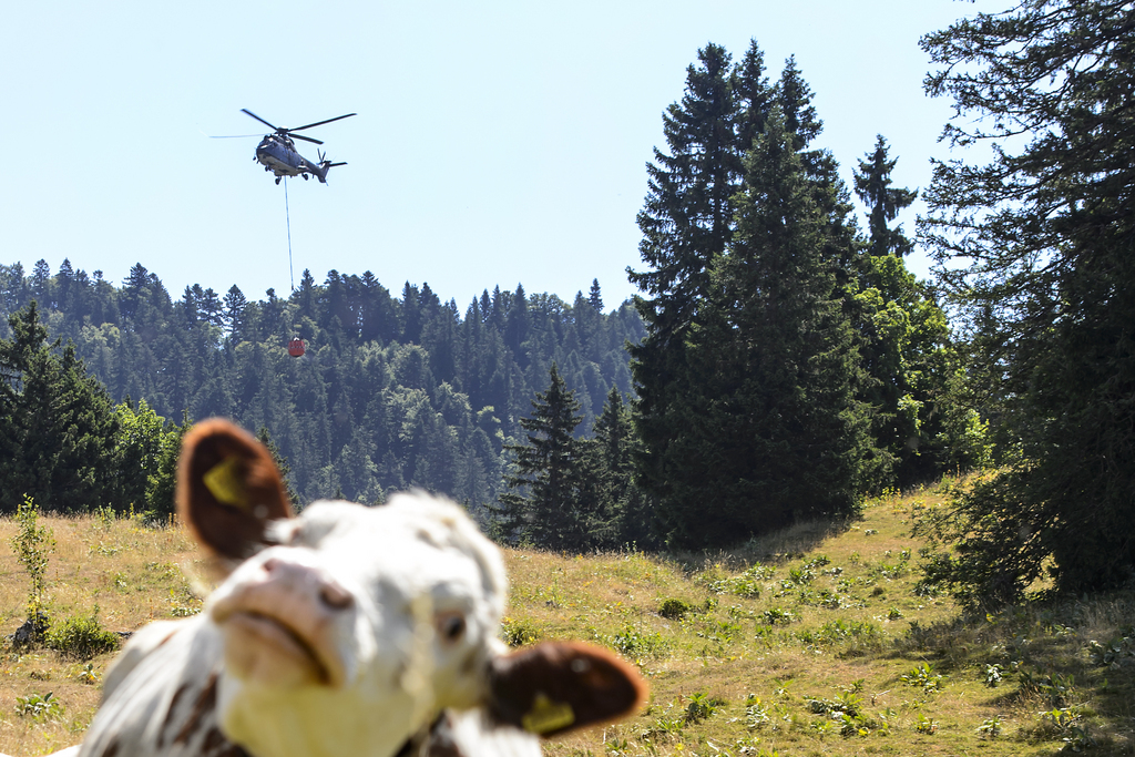 Les hélicoptères militaires devraient bientôt aussi voler en Suisse romande.