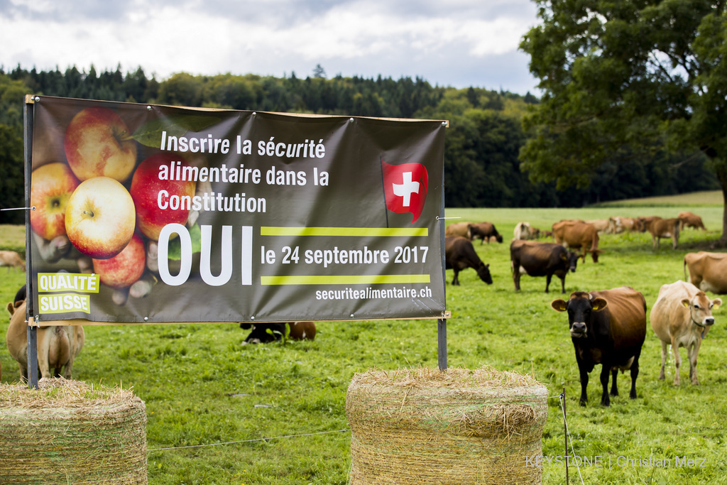 Les deux initiatives agricoles sont pour l'heure plébiscitée par les sondés (illustration).