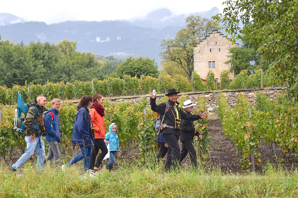 La balade emmène les participants au cœur du vignoble, sur le sentier viticole.