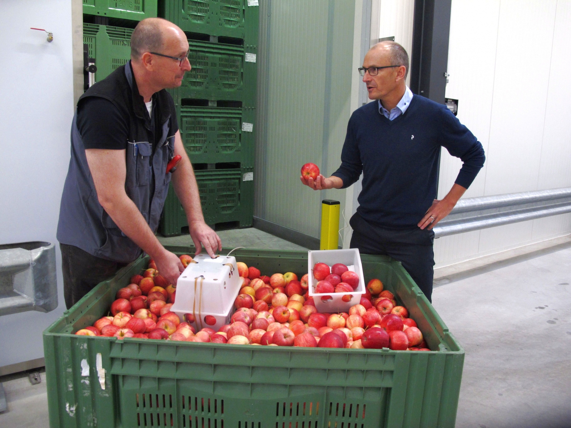 Comme le montrent le directeur d'Union-Fruits Christian Bertholet (à dr.) et le responsable de l'encavage Marius Hap, des capteurs surveillant l'évolution des pommes sont installés dans chaque cellule de stockage de la nouvelle halle de Charrat.