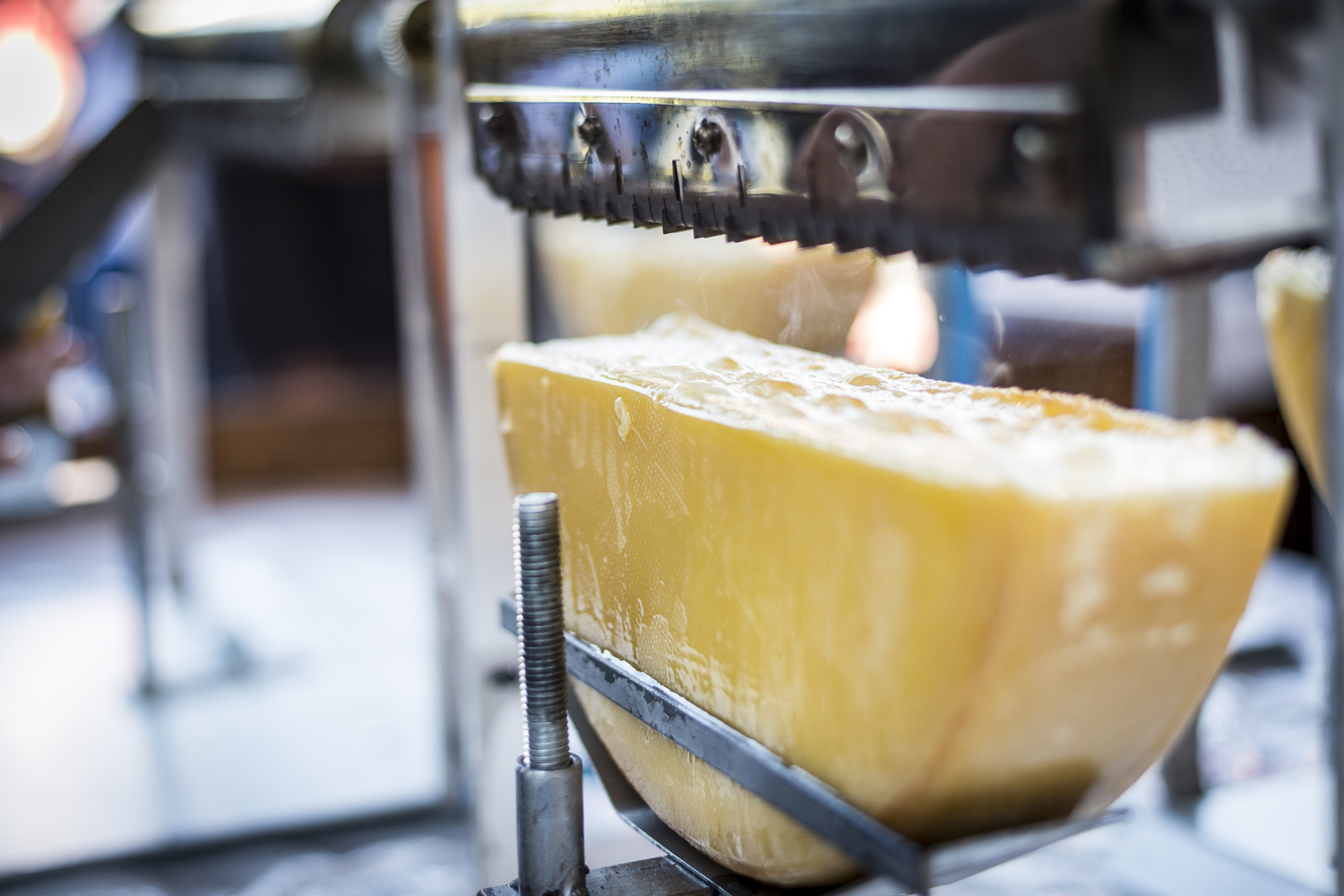 Des fromages qui n'auraient pas dû se retrouver sur le marché l'ont été.