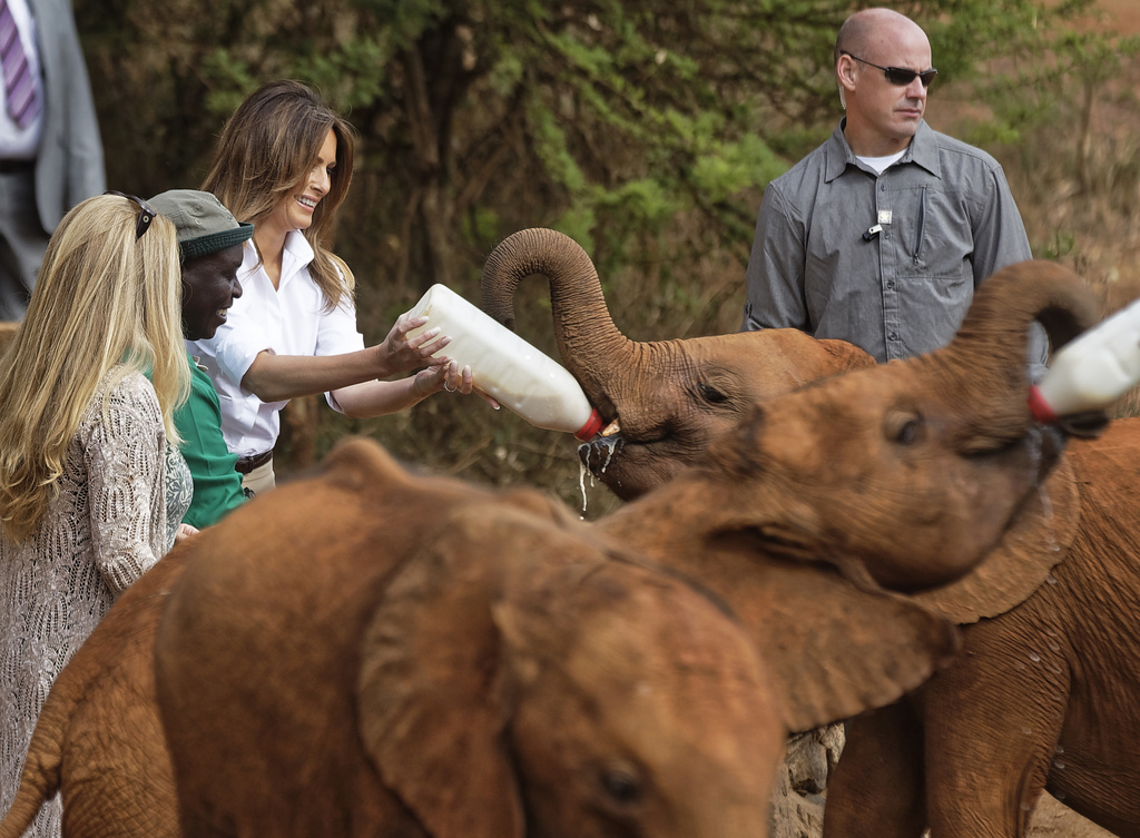 Melania Trump donne le biberon à un bébé éléphant lors de sa visite au Kenya.  