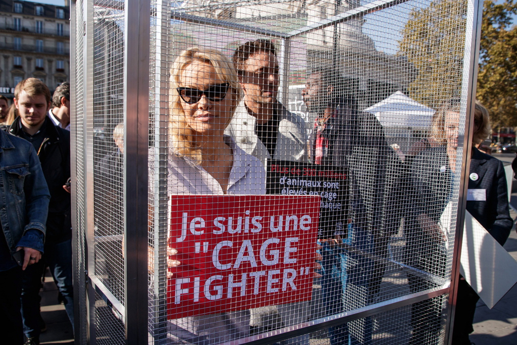 Ce mercredi matin, l'actrice américano-canadienne a surpris les passants en apparaissant enfermée dans une cage.