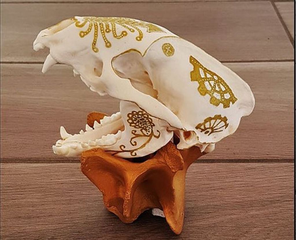 Fanny Rudaz exposera ses créations sur crânes d'animaux.