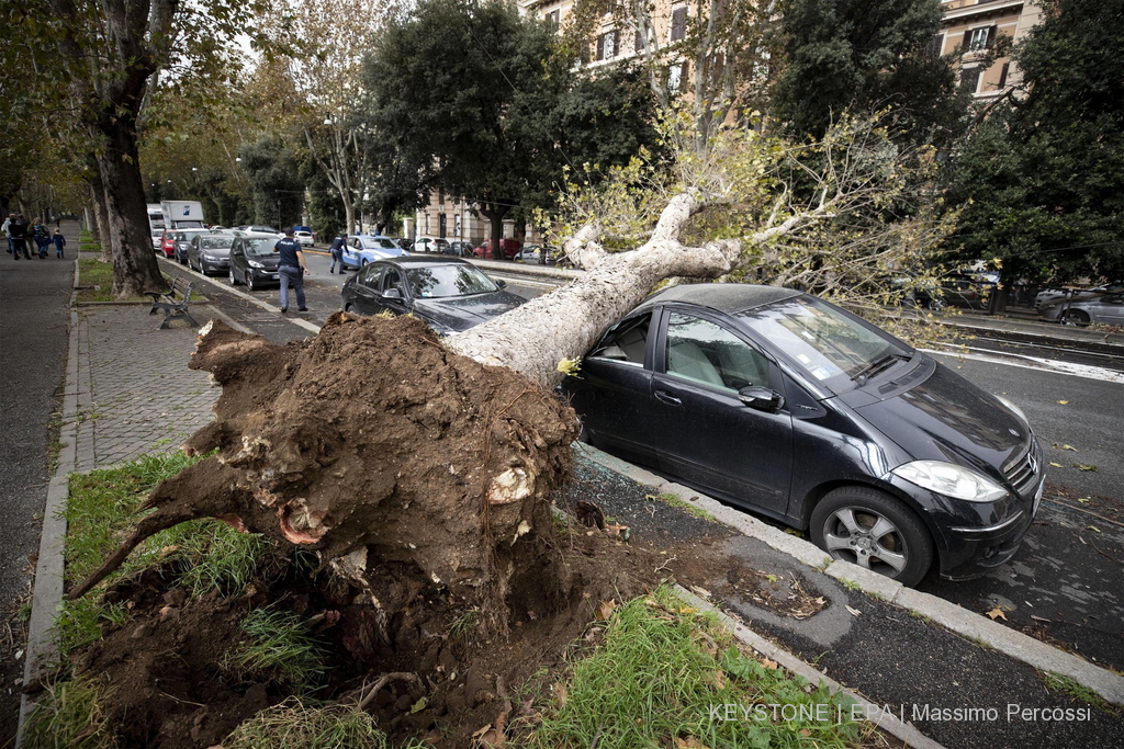 Des vents à plus de 100 km/h ont balayé Rome ce matin. Des arbres ont été arrachés.