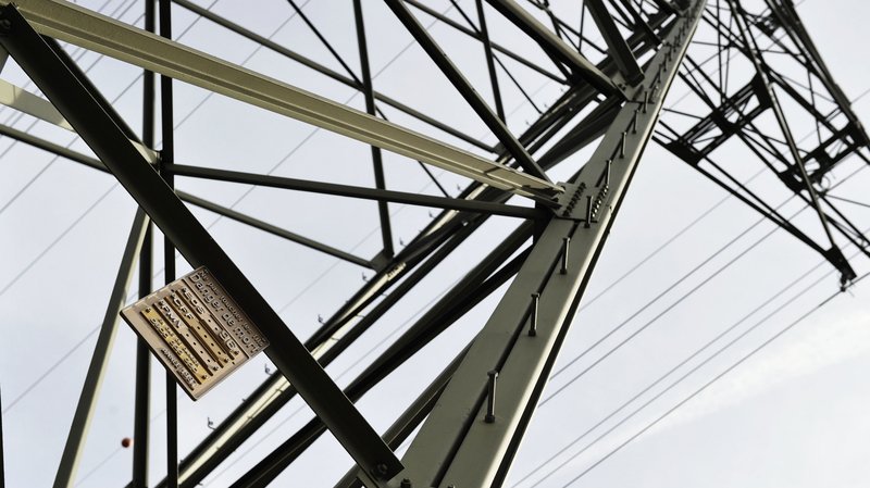 Des orateurs prestigieux parlent des systèmes électriques du futur et de transition énergétique toute la semaine à Champéry.