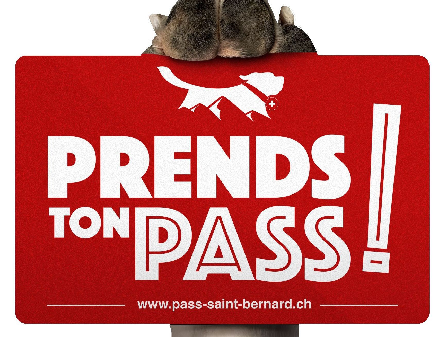 Quinze mille Pass Saint-Bernard annuels ont été vendus durant l'exercice 2017-2018.