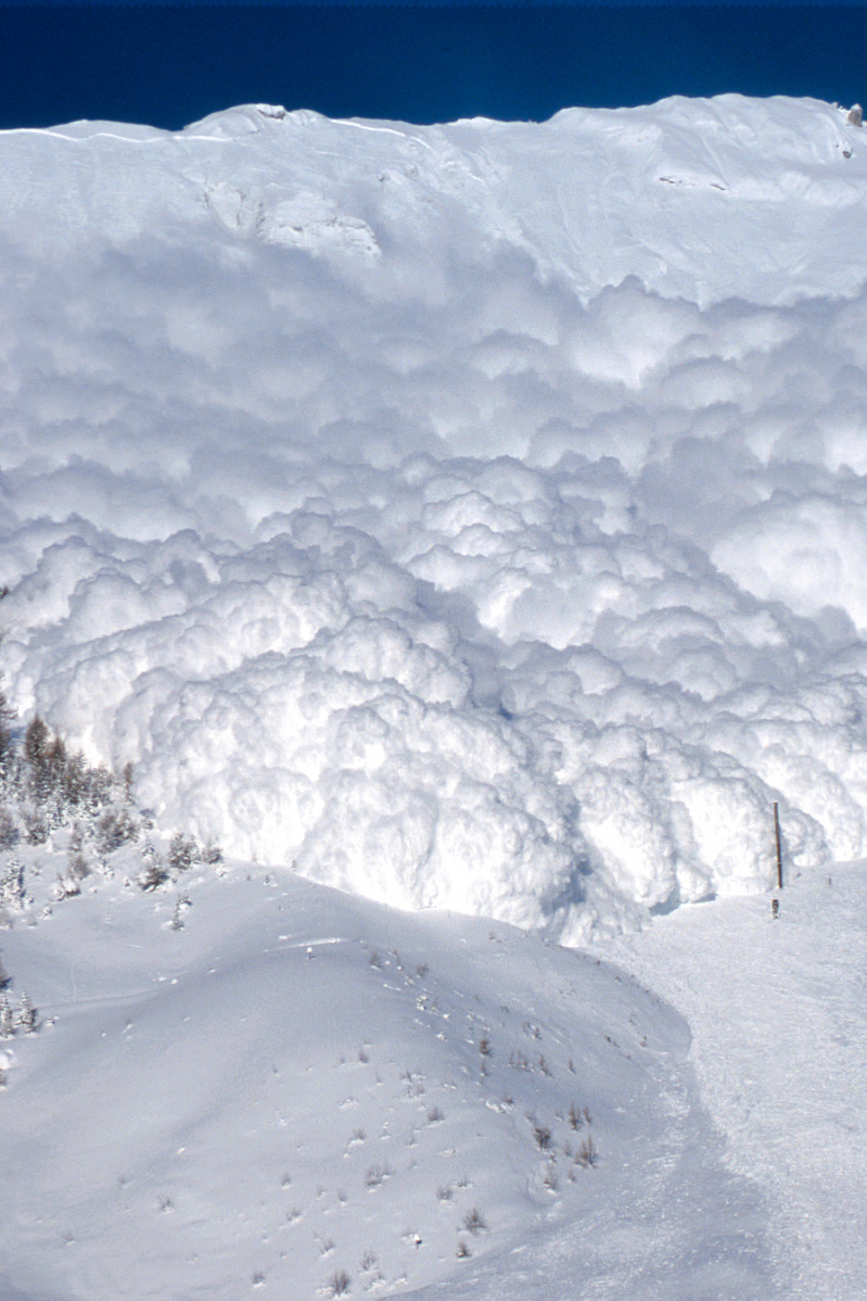 L'étude de la dynamique des avalanches dans la vallée de la Sionne, bardée de capteurs, est l'œuvre de l'antenne valaisanne de l'Institut pour la recherche sur la neige et les avalanches (SLF) de Davos.
