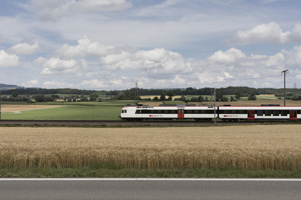 Un train a dû être arrêté jeudi entre Bâle et Zurich, une passagère ayant cru apercevoir l'auteur présumé de la fusillade de Strasbourg.